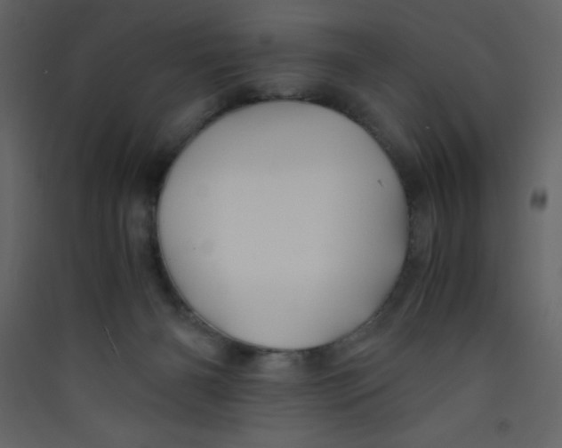 X0000089430126200707131853
