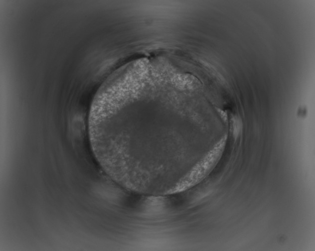 X0000089430127200707131853