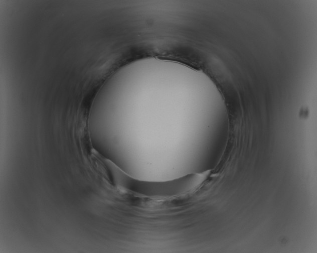 X0000089430129200707131853