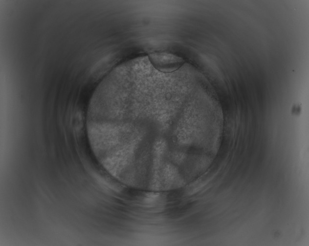X0000089430130200707131853