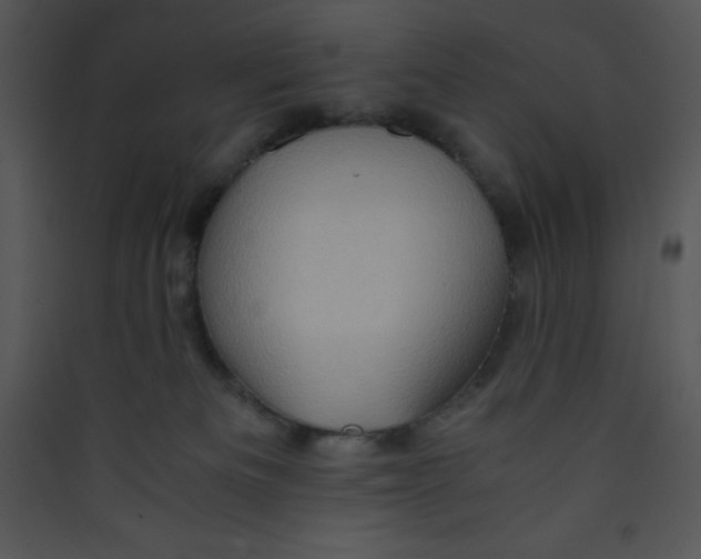 X0000089430133200707131853