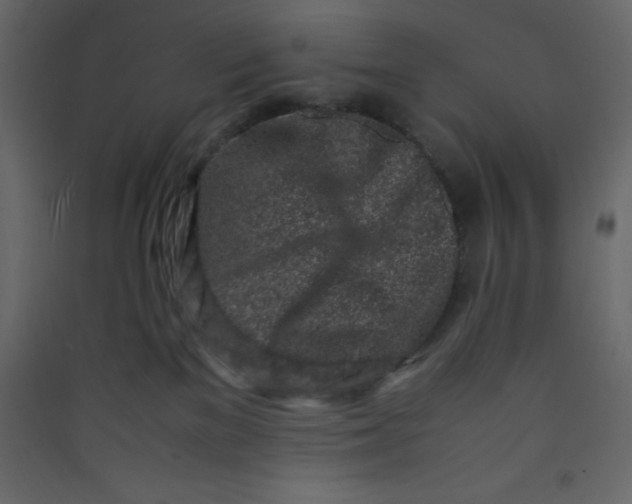 X0000089430137200707131853