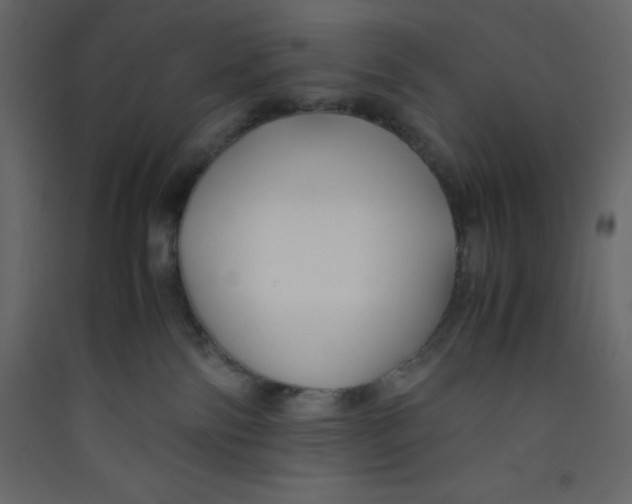 X0000089430138200707131853