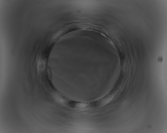 X0000089430139200707131853