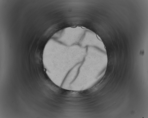 X0000089430140200707131853