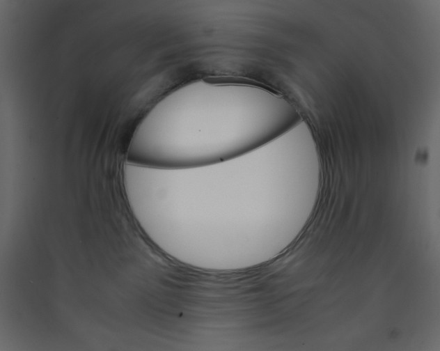 X0000089430141200707131853