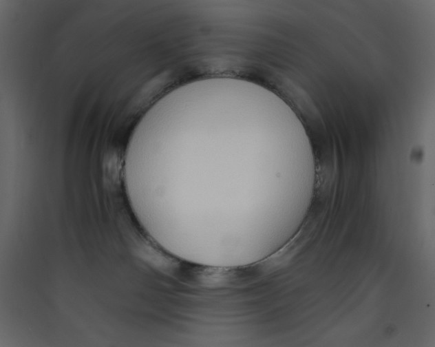 X0000089430142200707131853