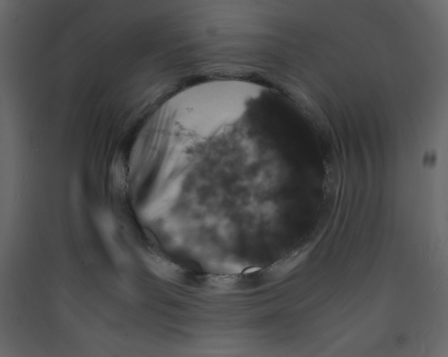 X0000089430143200707131853