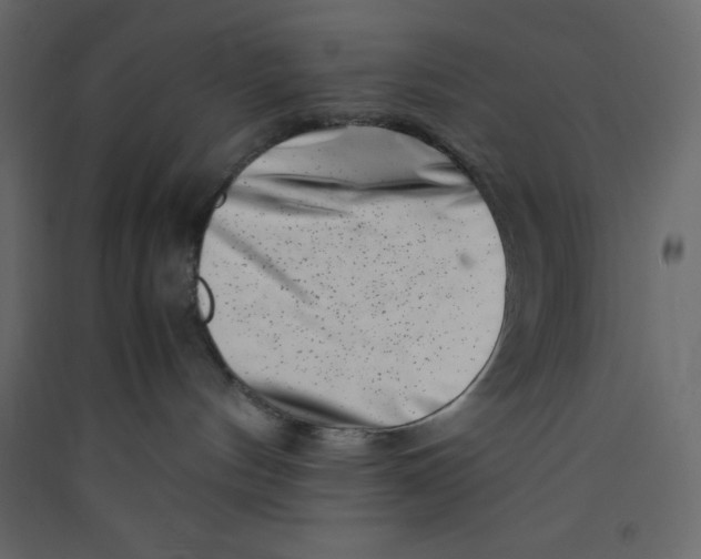 X0000089430144200707131853