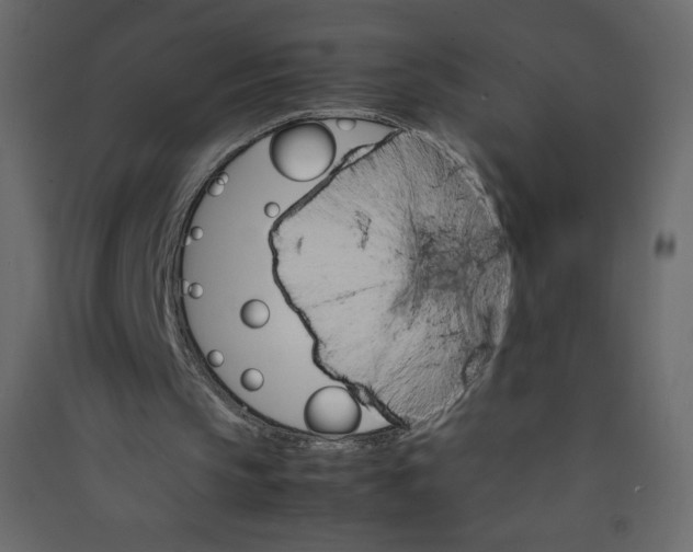 X0000089430145200707131852