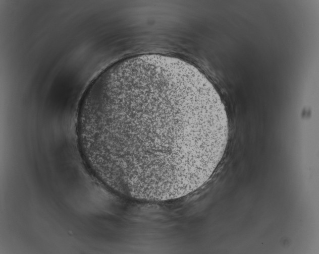 X0000089430146200707131852