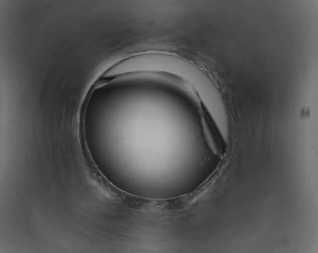 X0000089430148200707131852