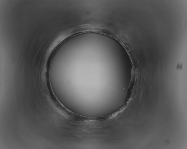 X0000089430150200707131852