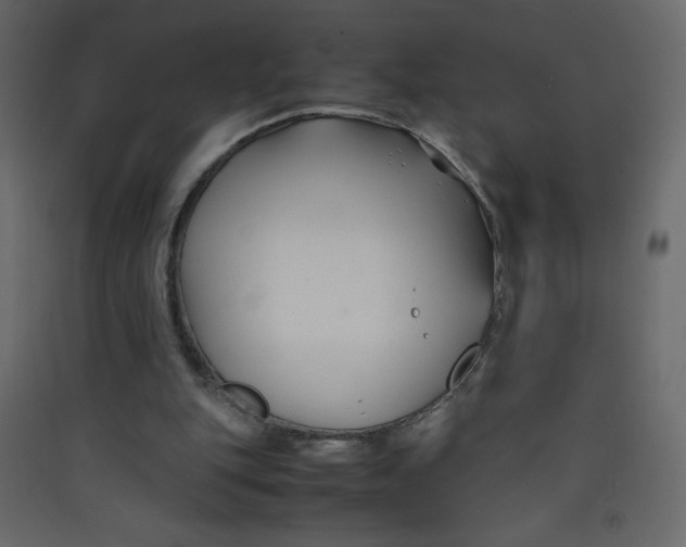 X0000089430151200707131852