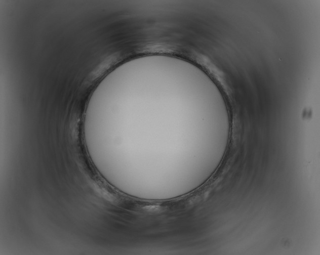 X0000089430153200707131852