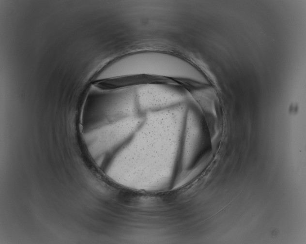 X0000089430154200707131852