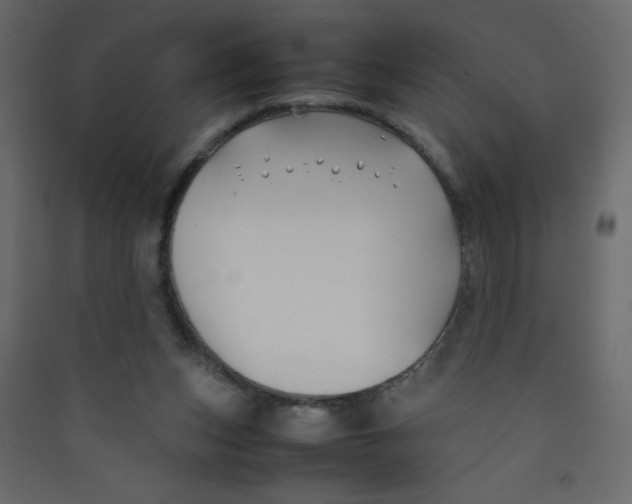 X0000089430159200707131852