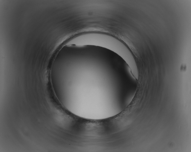 X0000089430160200707131852