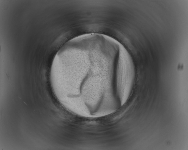 X0000089430161200707131852