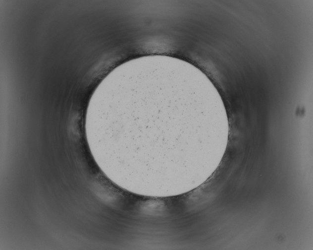 X0000089430162200707131852