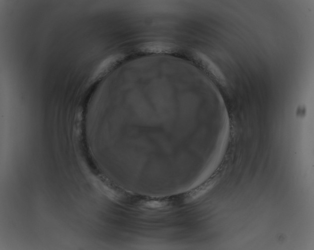 X0000089430163200707131852