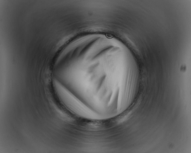 X0000089430164200707131852