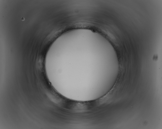 X0000089430166200707131852