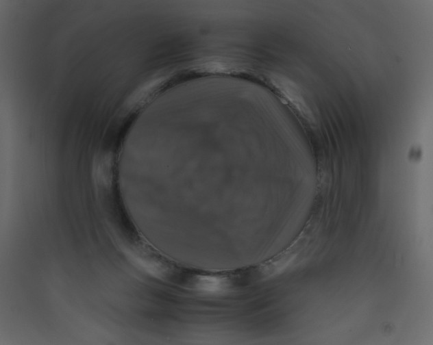 X0000089430167200707131852