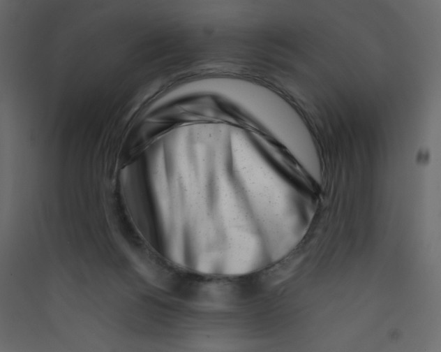 X0000089430168200707131852