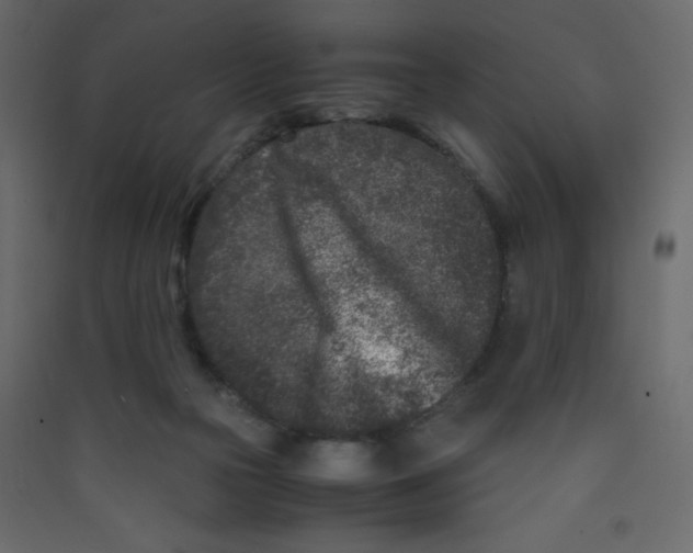 X0000089430169200707131852
