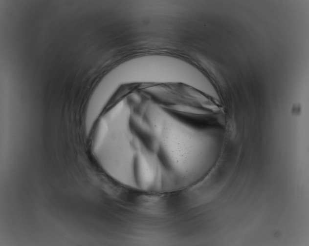 X0000089430170200707131852