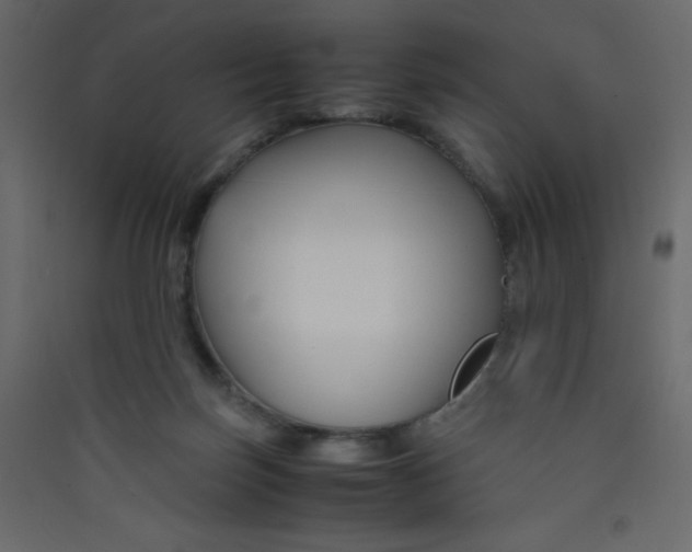 X0000089430171200707131852