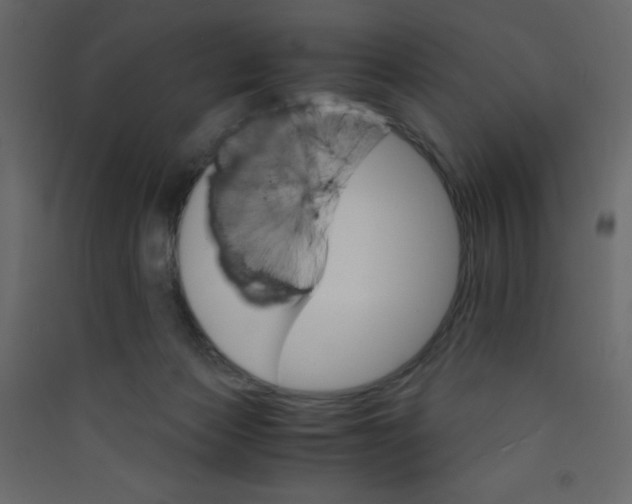 X0000089430173200707131852