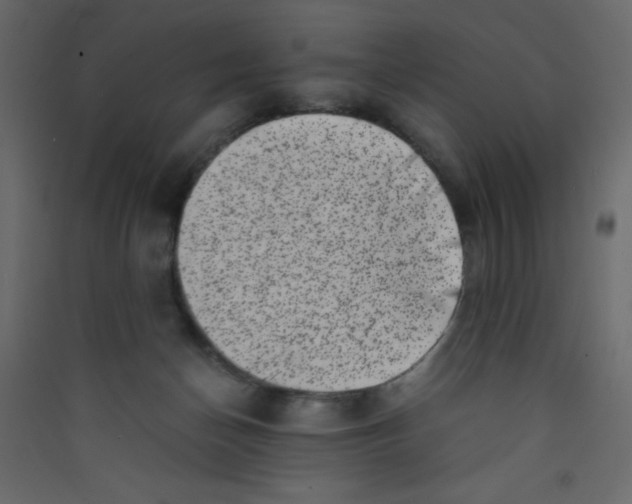 X0000089430174200707131852
