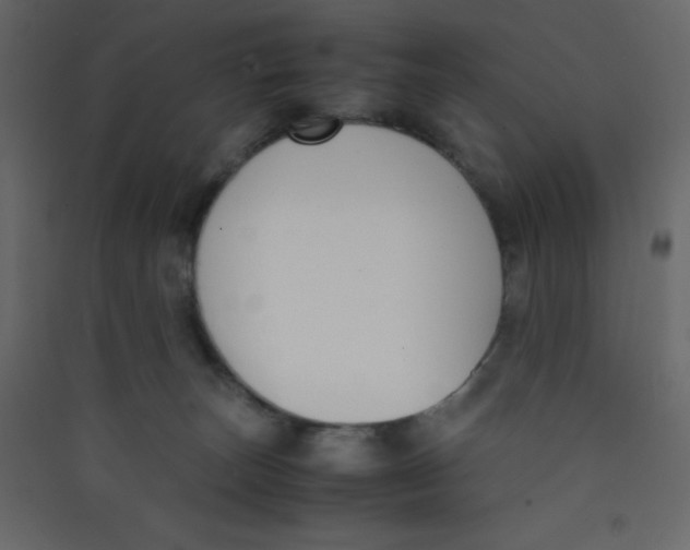 X0000089430179200707131852