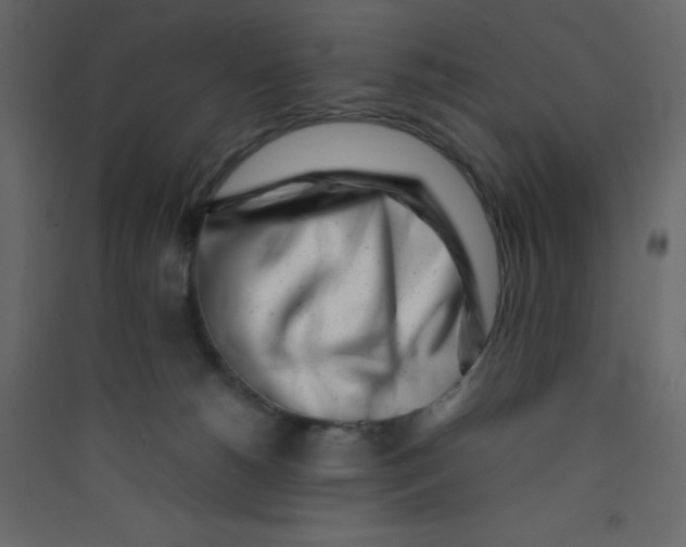 X0000089430180200707131852