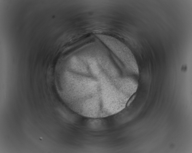 X0000089430181200707131852