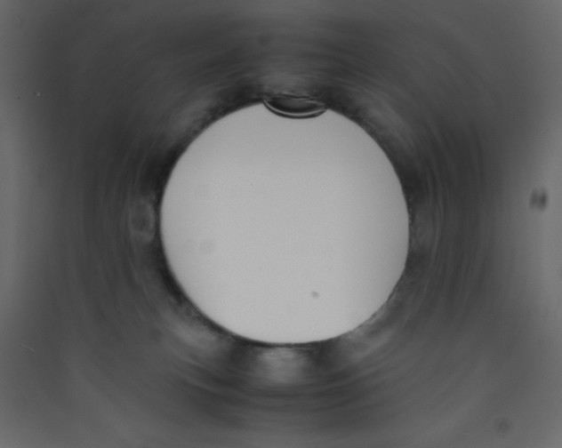 X0000089430183200707131852