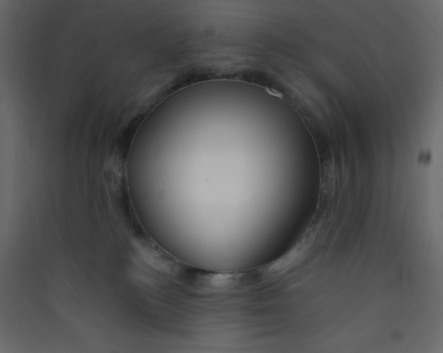 X0000089430184200707131852