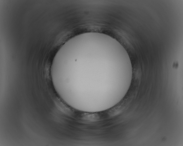 X0000089430185200707131852
