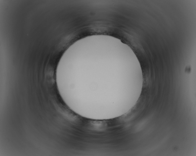 X0000089430187200707131853