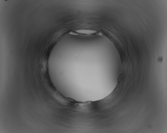 X0000089430188200707131853