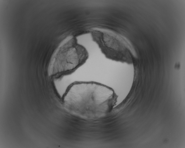 X0000089430189200707131853