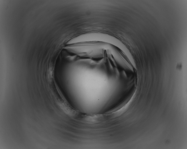 X0000089430190200707131853