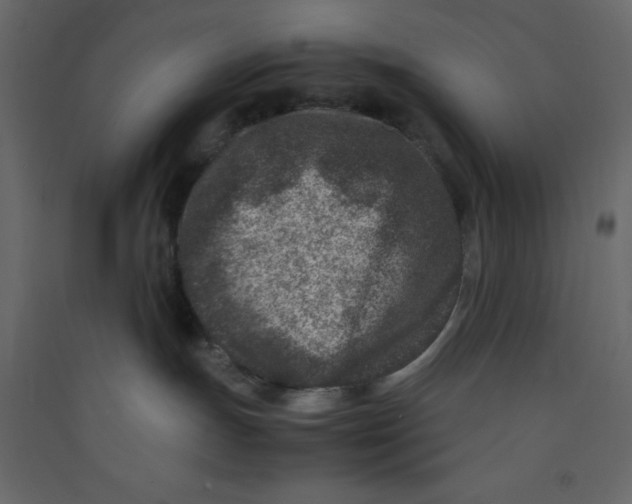 X0000089430191200707131853