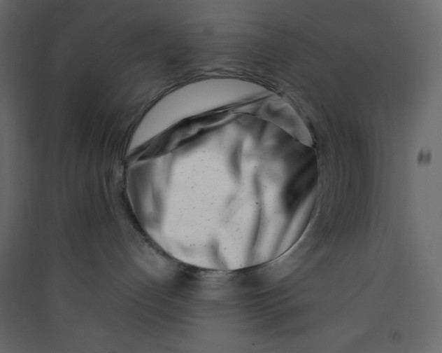 X0000089430192200707131853