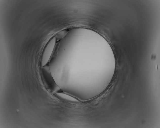 X0000089430193200707131852
