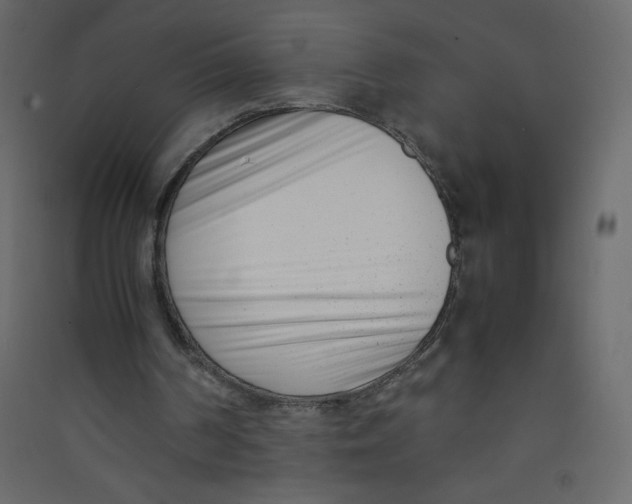 X0000089430194200707131852