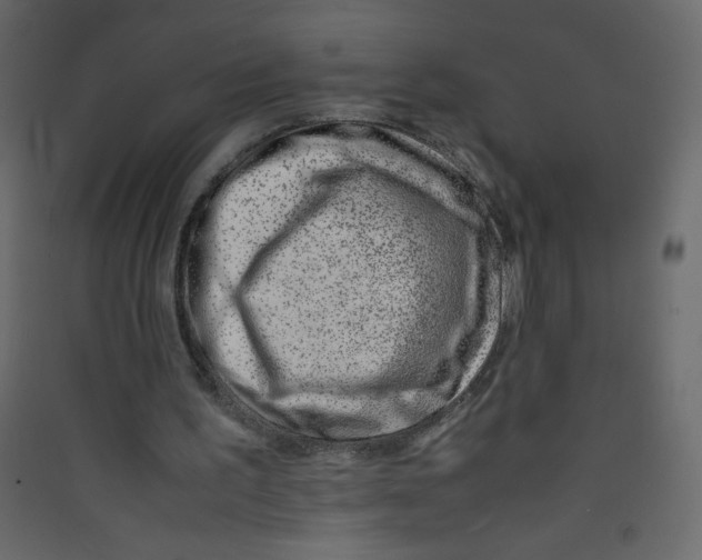 X0000089430195200707131852