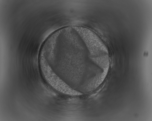 X0000089430196200707131852